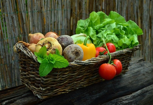 digiuno intermittente cosa mangiare