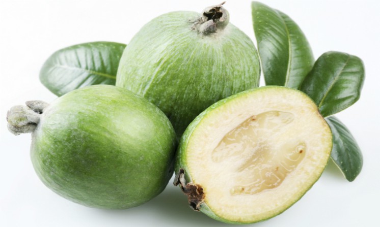 Feijoa benefici proprieta per i malanni invernali
