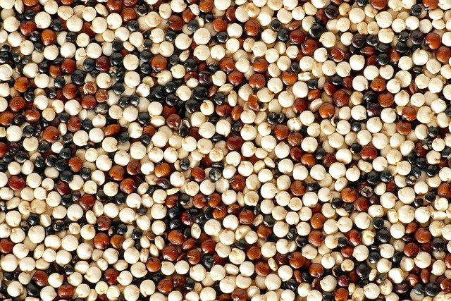 quinoa e saponine