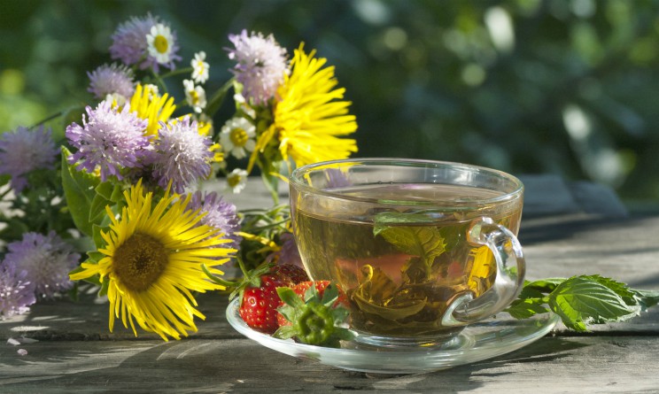Tisane per la tosse rimedi naturali