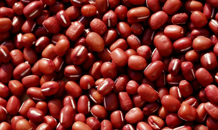 Fagioli azuki benefici e proprieta per il corpo