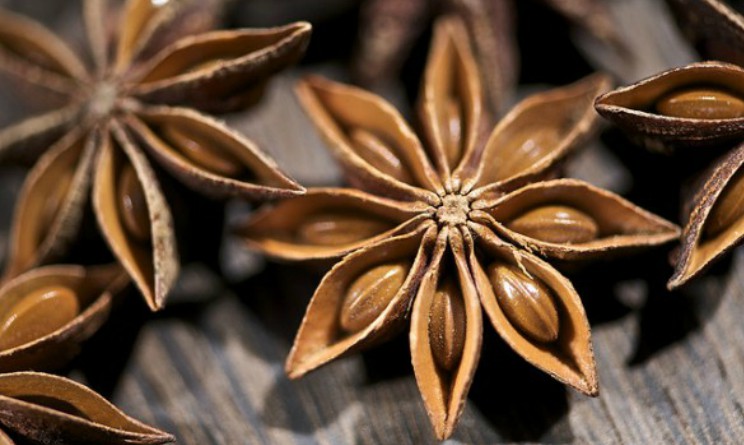 Infuso anice stellato proprieta e benefici