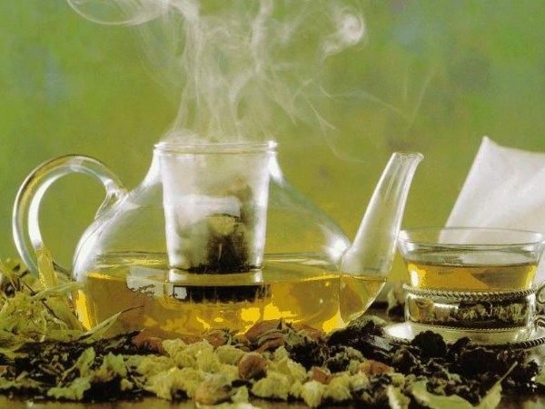 Infuso di assenzio