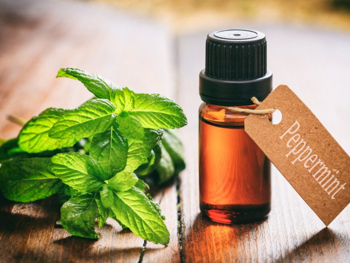 Olio essenziale alla menta contro il russare