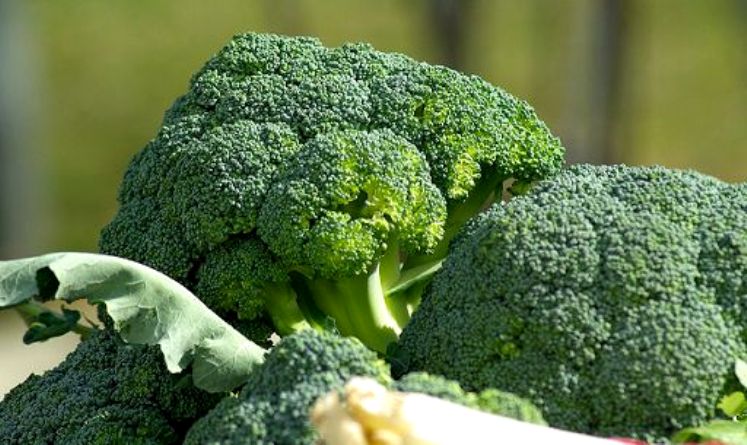 broccoli proprietà benefiche