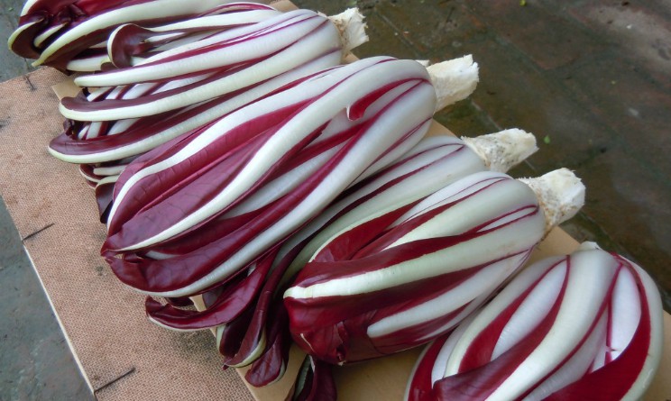 Radicchio tardivo benefici e proprieta