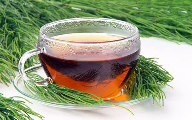 Tisana o decotto di equiseto