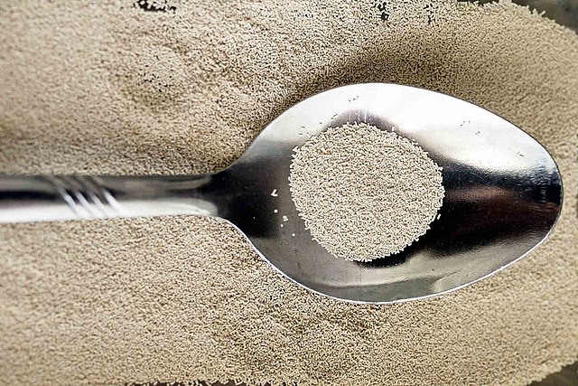 lievito di birra secco