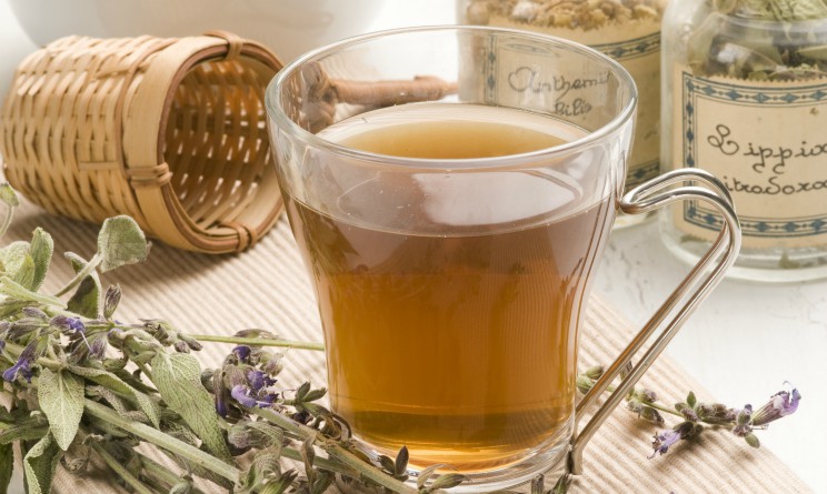 Bevanda per accelerare il metabolismo: tisana alla bardana