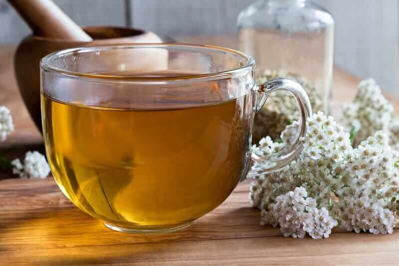 Achillea, infuso benefico