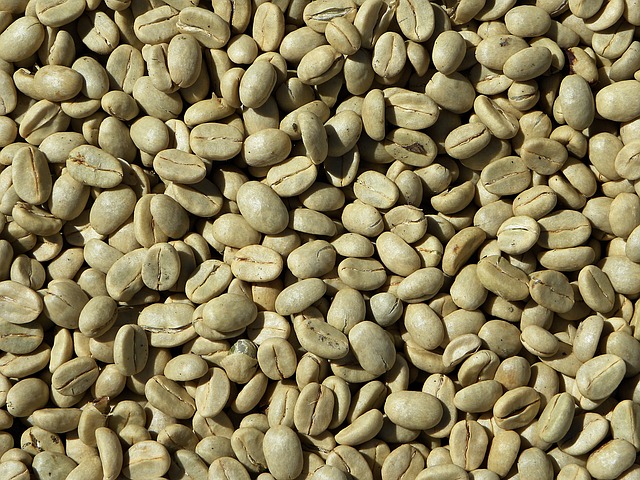caffè verde in chicchi