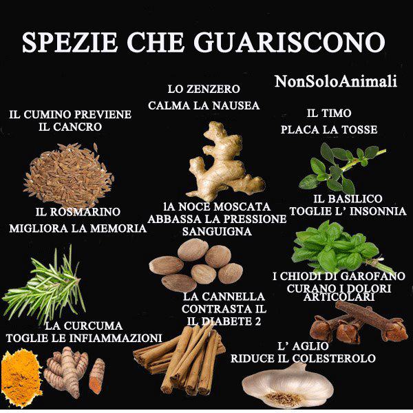 spezie che guariscono