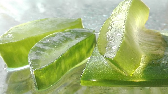 aloe vera tumori