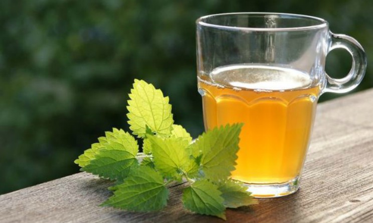 Tisana depurativa ortica benefici