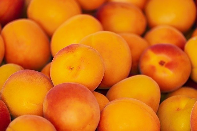 Albicocche fresche